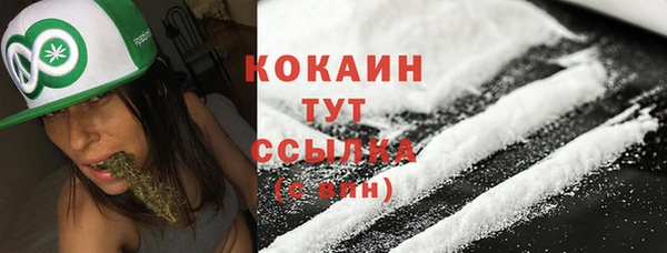 гашик Богородицк