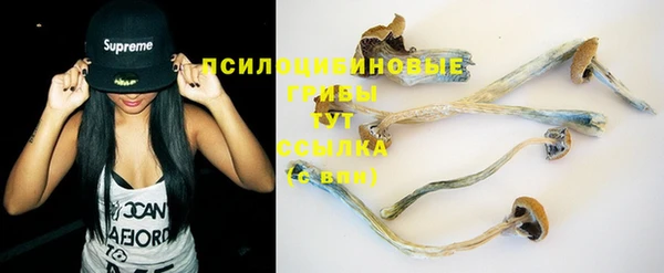 гашик Богородицк