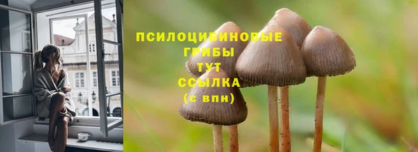гашик Богородицк