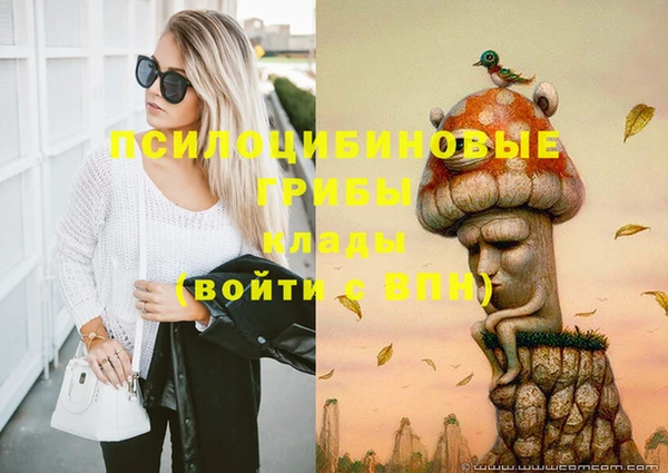 гашик Богородицк