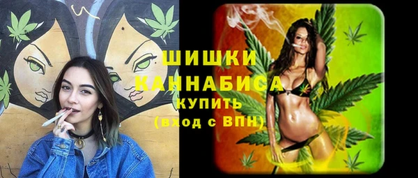гашик Богородицк