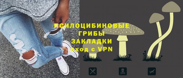 mdpv Богородск