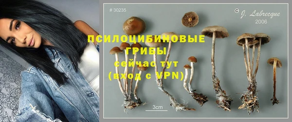 mdpv Богородск