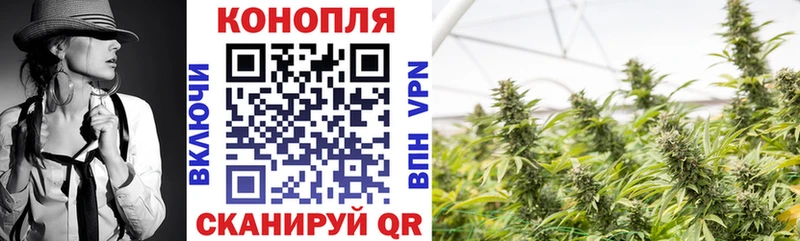 где купить наркоту  Реутов  Конопля AK-47 